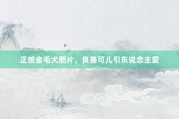 正统金毛犬图片，良善可儿引东说念主爱