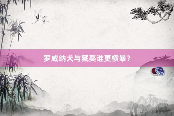 罗威纳犬与藏獒谁更横暴？